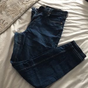 Everlane Jeans
